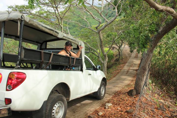 a car parked on pavement near a forest