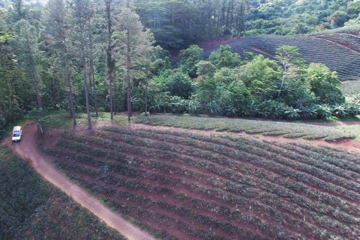 a train traveling down train tracks near a forest